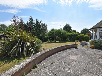 Picture 14